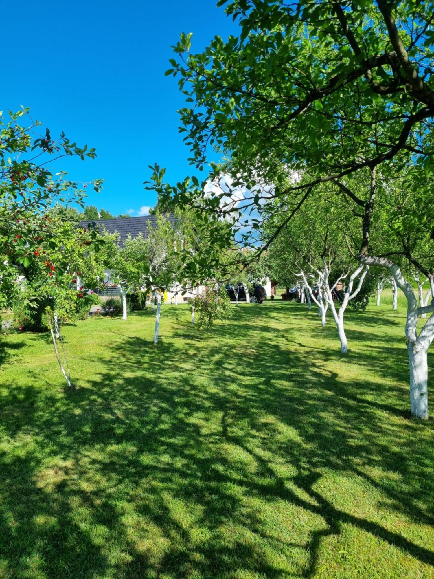 Apartment Rosandic سوملجاناك المظهر الخارجي الصورة